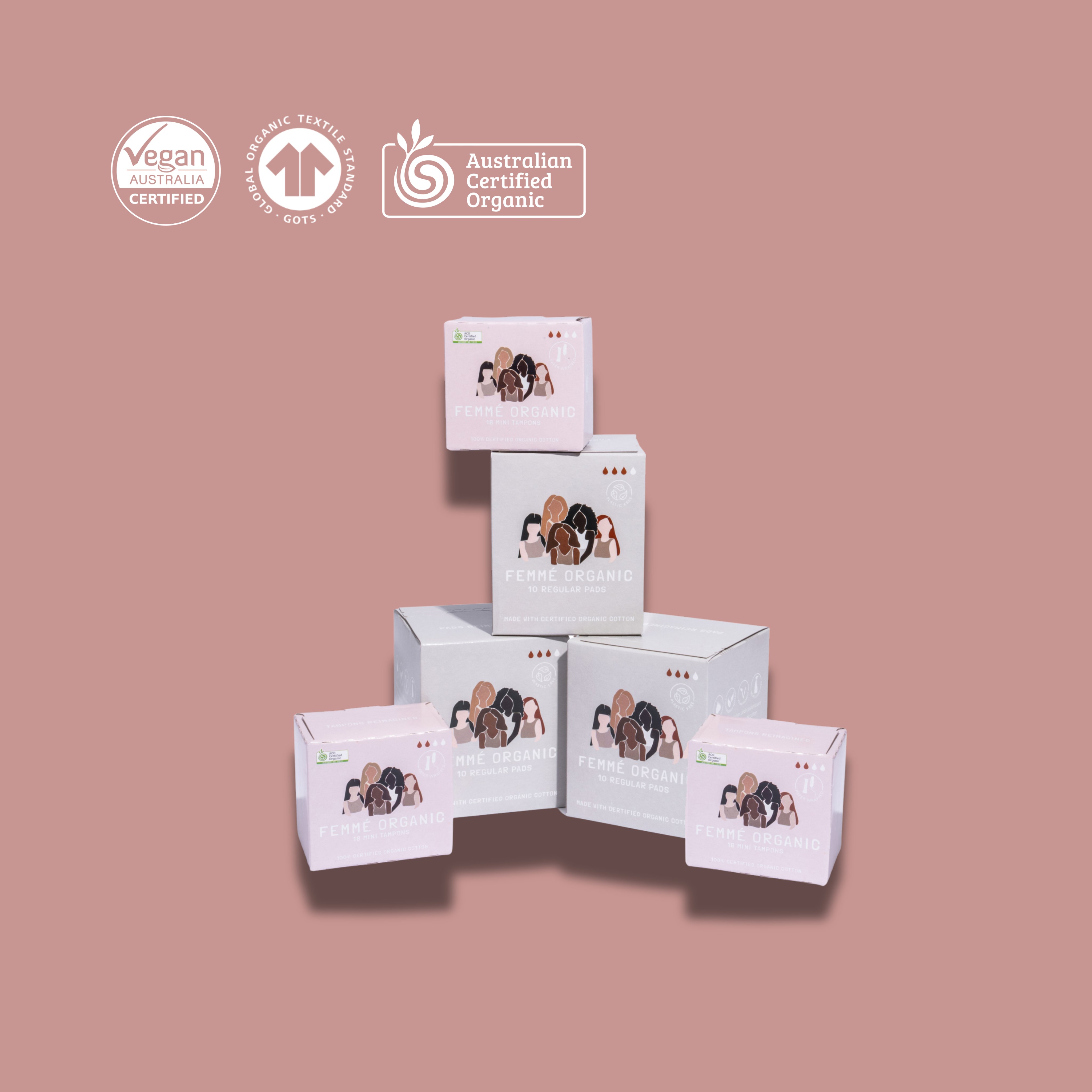 Light & Easy Bundle