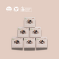 Regular Tampon Business Bundle